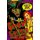 Ghost Gallery - B&W Omnibus Vol. 2: A Forgotten Horrors Funnybook Collection! (Paperback): Michael Aitch Price