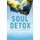Soul Detox - Clean Living in a Contaminated World (Paperback): Craig Groeschel