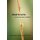 Afraid to Let Go. For Parents of Adult Addicts and Alcoholics (Paperback): Mary Crocker Cook
