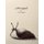 Sour Grapes (Hardcover): Dan Rhodes