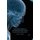 Philosophical Psychopathology - Philosophy without Thought Experiments (Paperback, 1st ed. 2013): G. Young