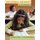 Educational Assessment of Students (Paperback, 6th edition): Anthony J. Nitko, Susan M. Brookhart