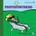 Photosynthesis (Paperback): Rebecca Woodbury