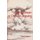 The Woman at Otowi Crossing (Paperback, Rev Ed): Frank Waters