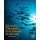 Epizootic Ulcerative Fish Disease Syndrome (Paperback): Devashish Kar