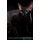 Cornish Rex Affirmations Workbook Cornish Rex Presents - Positive and Loving Affirmations Workbook. Includes: Mentoring...