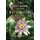 The Old Man and the Butterflies (Paperback): Dan Merritt