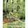 Fairy Pathways (Paperback): Ellen Hooge