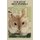 Ecology of small mammals (Paperback, Softcover reprint of the original 1st ed. 1979): D M Stoddart