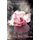 A Rose Has Thorns (Paperback): Astrid Brown