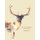 The Porcupinity of the Stars (Paperback): Gary Barwin