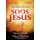 Soos Jesus (Afrikaans, Paperback): Kobus Neethling, Hennie Stander
