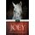Joey (Paperback): Jennifer Bleakley