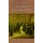 Samuel Johnson and the Impact of Print - (Originally published as Printing Technology, Letters, and Samuel Johnson) (Paperback,...