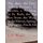 The Poet, The Lion, Talking Pictures, El Farolito, A Wedding in St. Roch, The Big Box Store, The Warp in the Mirror, Spring,...