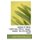 Stephen M. White, Californian, Citizen, Lawyer, Senator. His Life and His Work (Paperback): Stephen Mallory White, Leroy E....