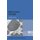 Mitonuclear Ecology (Paperback): Geoffrey E. Hill