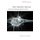 The Neuro-Image - A Deleuzian Film-Philosophy of Digital Screen Culture (Paperback, New): Patricia Pisters