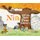 Nia and the New Free Library (Hardcover): Ian Lendler