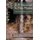 D. H. Lawrence in New Mexico - The Time is Different There (Paperback): Arthur J Bachrach