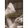 Information and Learning in Markets - The Impact of Market Microstructure (Paperback): Xavier Vives