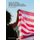 Stories of Identity among Black, Middle Class, Second Generation Caribbeans - We, Too, Sing America (Hardcover, 1st ed. 2018):...