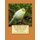 The British Canary - Its Varieties and Characteristics: Raising Canaries Book 3 (Paperback): Jackson Chambers