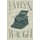 Scoop (Paperback): Evelyn Waugh