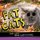 2021 Fat Cats Wall Calendar - Big Cats. Big Cattitude. (Calendar): Sourcebooks