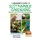 A Beginner's Guide to Sustainable Gardening (Paperback): John Davidson