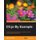 D3.js By Example (Paperback): Michael Heydt