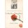 Fatherless Daughters - Turning the Pain of Loss Into the Power of Forgiveness (Paperback): Pamela Thomas