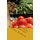 Vegetarianism - One Man's Views and Experiences (Paperback): David McEwan