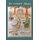 The Enchanted Alligator (Hardcover): Lupe Marie Acosta Larsen