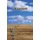 Horizons (Paperback): Judith Schaefer