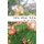 Life After Tolle - A Call to Community (Paperback): Kat Van Gunten