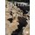 Goeytepe: Neolithic Excavations in the Middle Kura Valley, Azerbaijan (Hardcover): Yoshihiro Nishiaki, Farhad Guliyev