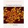 The Hepatitis B and Delta Viruses (Hardcover): Christoph Seeger Phd, Stephen Locarnini