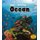 Living and Nonliving in the Ocean (Paperback): Rebecca Rissman