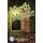 North Mystic (Paperback): M.J. Evans