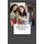 How We Use English to Communicate - An Introduction (Paperback): Kenneth D Chastain