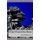 They Faced the Bear (Paperback): David Williamson