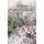 A Year in a Rock Garden - An Organic Gardening Guide (Paperback): Ron Kushner
