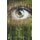 Rise of the Chimera - The Chimera Saga (Paperback): Paul Chill