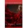 The Age of Enlightenment (Paperback): Gwendolyn Olmsted
