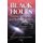 Black Holes - Evolution, Theory & Thermodynamics (Hardcover): Alois J. Bauer, Diethelm G. Eiffel