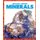 Minerals (Hardcover): Rebecca Pettiford