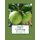 Apple Growing - Bulletin Number 2 (Paperback): Massachusetts State Board of Agriculture