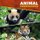 Animal Conservation (Hardcover): Harriet Brundle