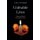 Unlivable Lives - Violence and Identity in Transgender Activism (Paperback): Laurel Westbrook